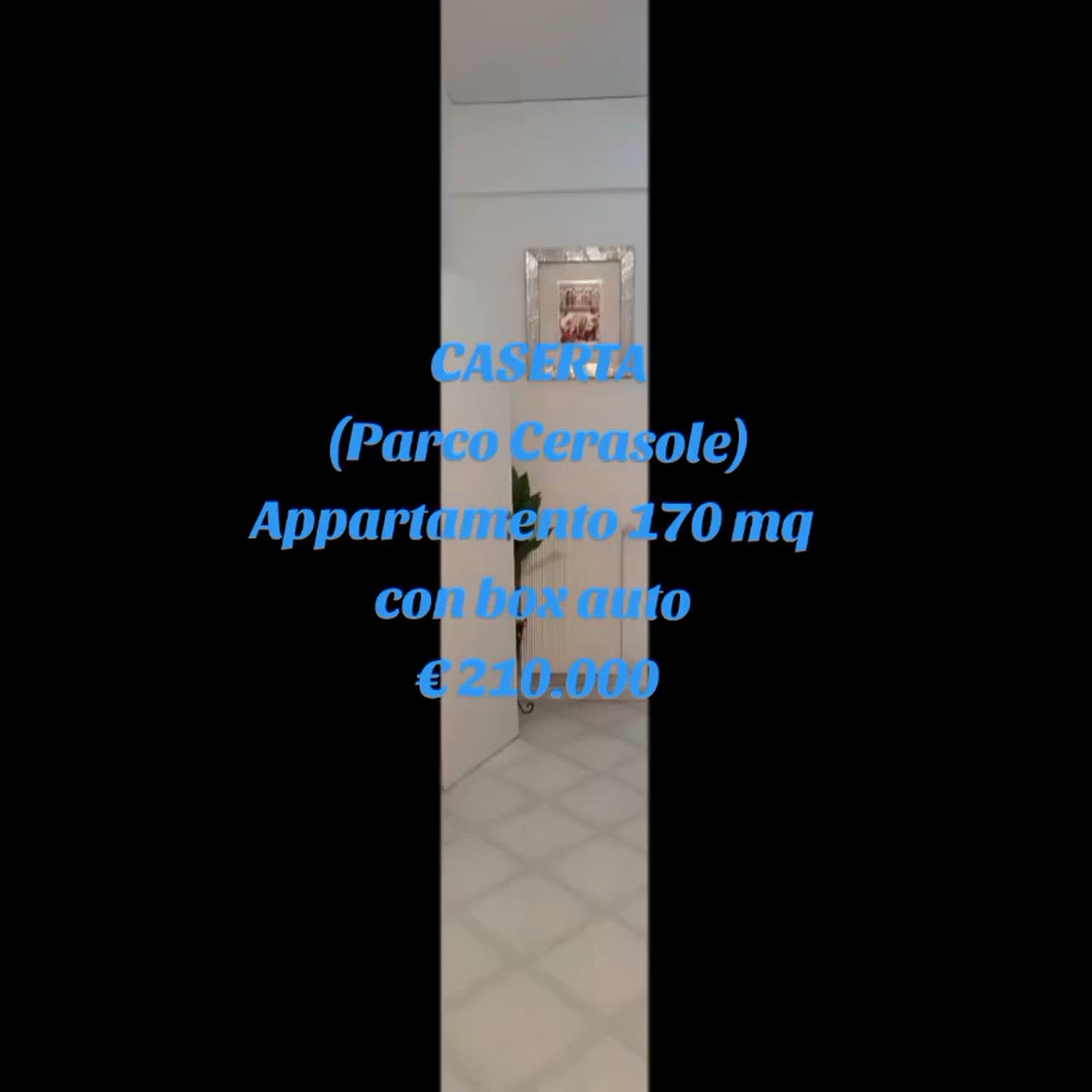 Agency video thumbnail