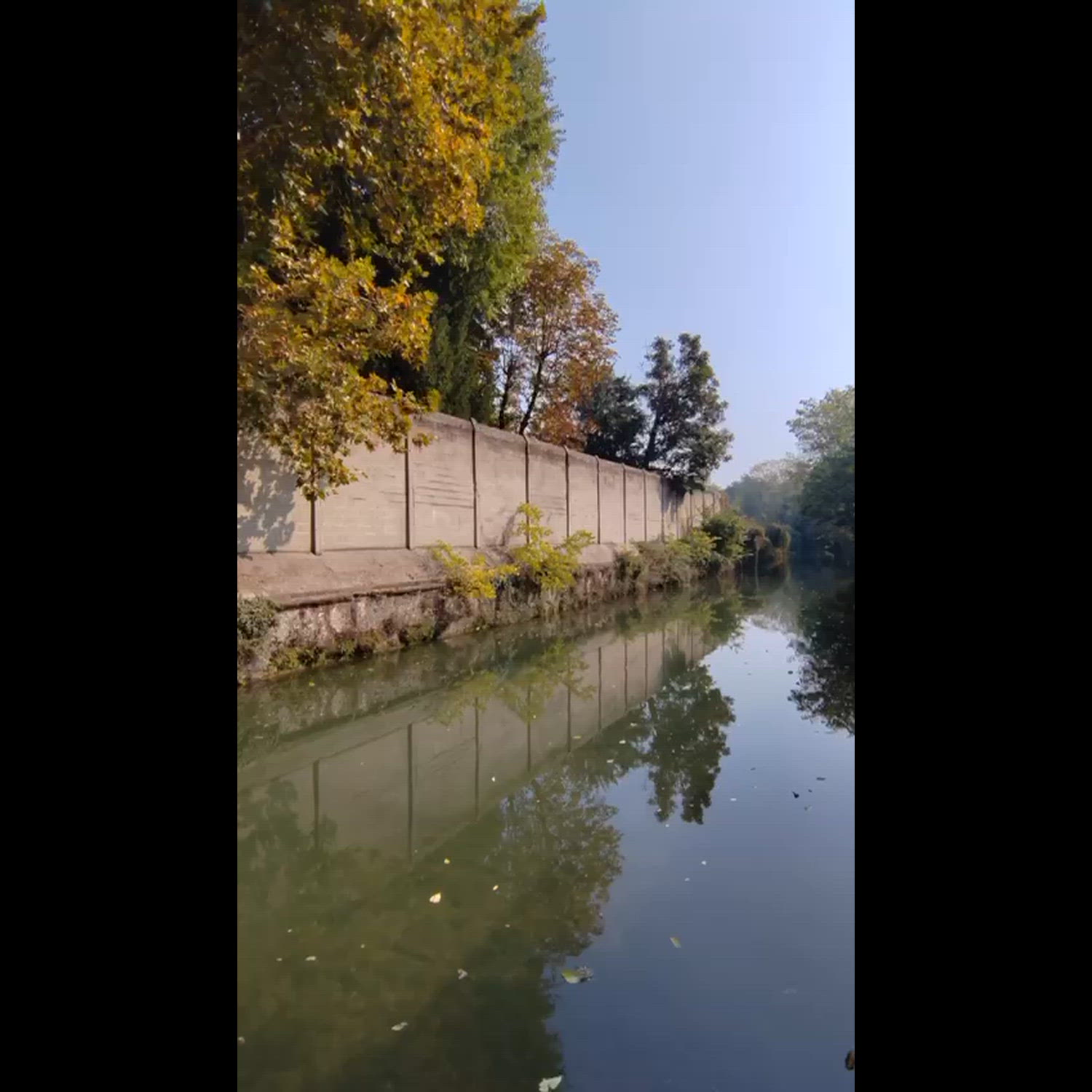 Agency video thumbnail