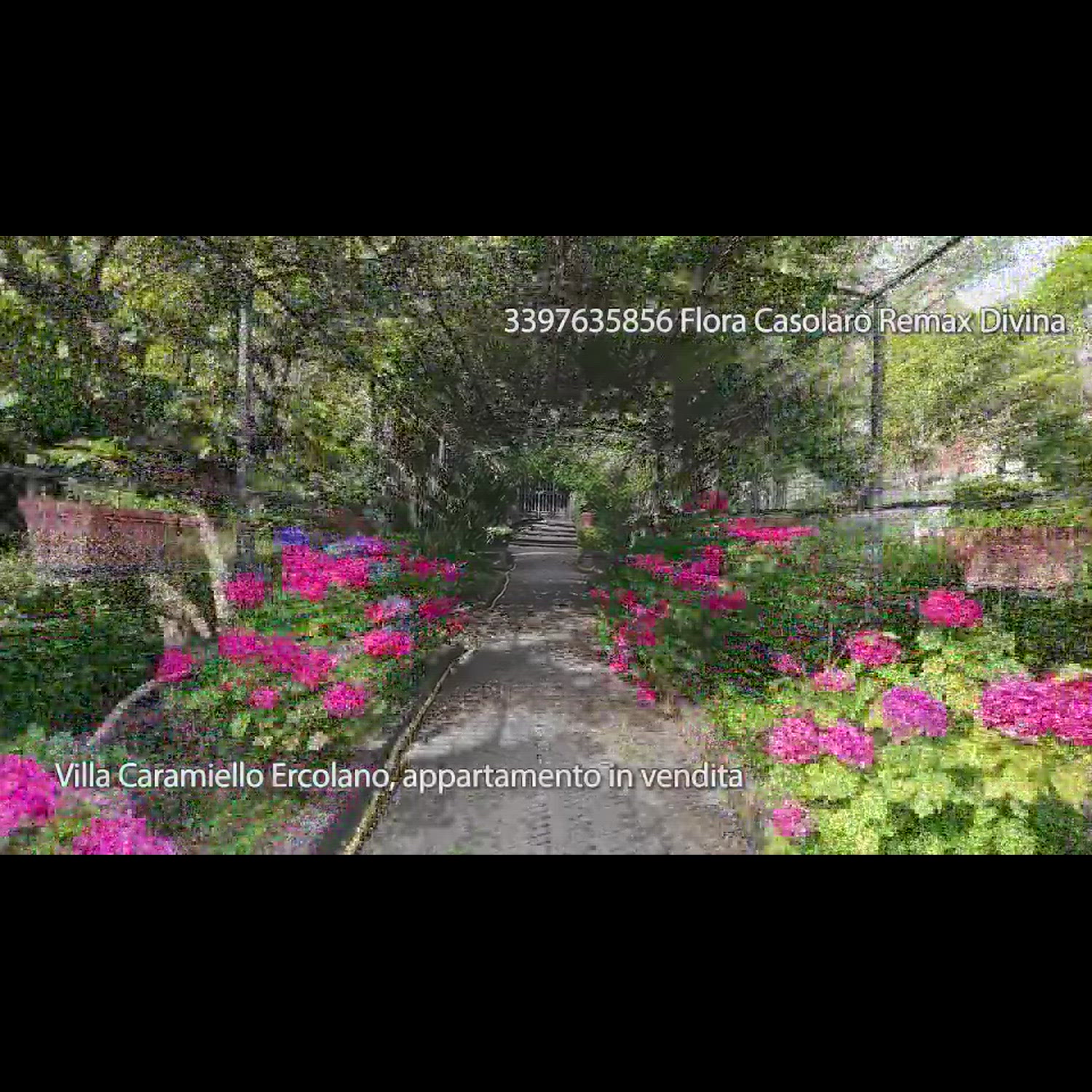 Agency video thumbnail