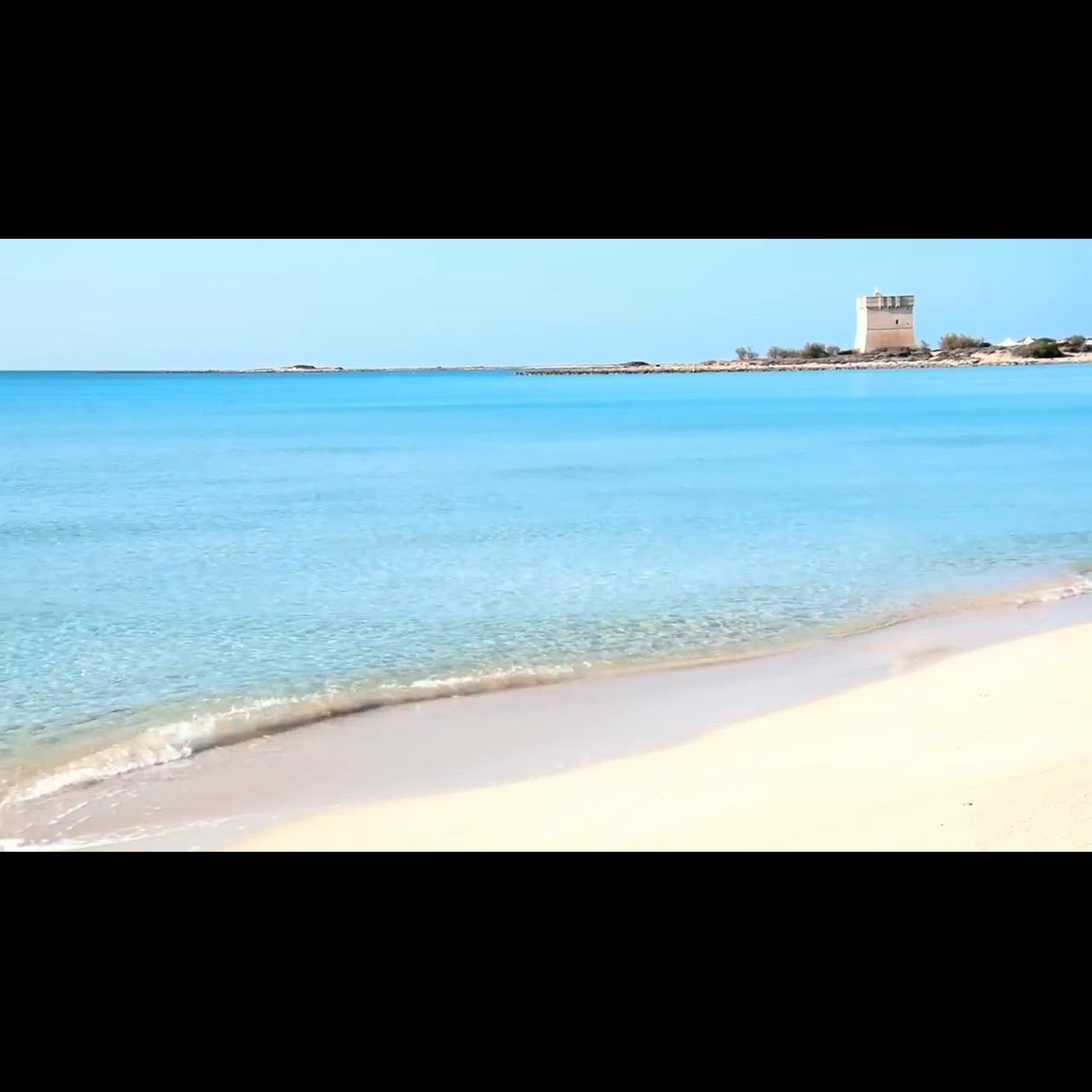 Agency video thumbnail