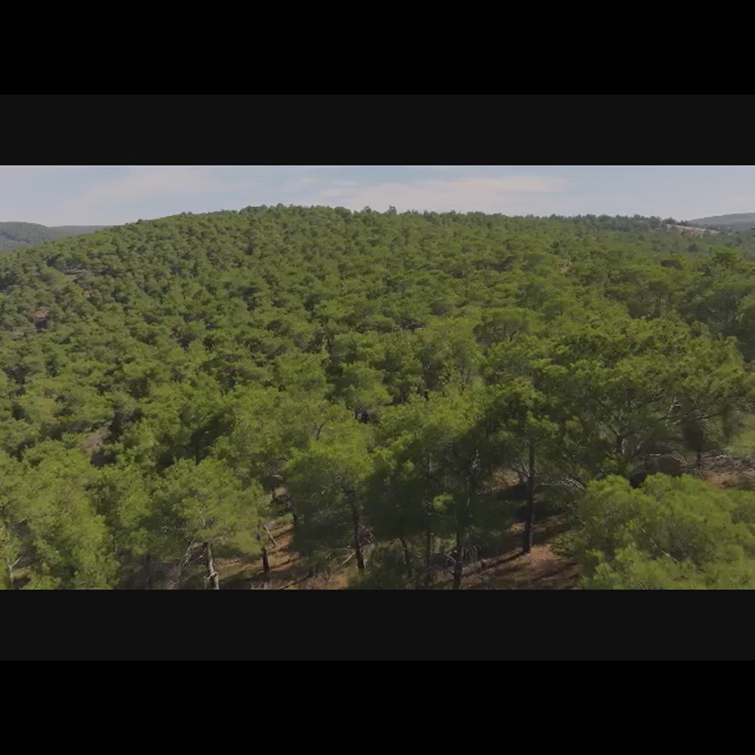 Agency video thumbnail