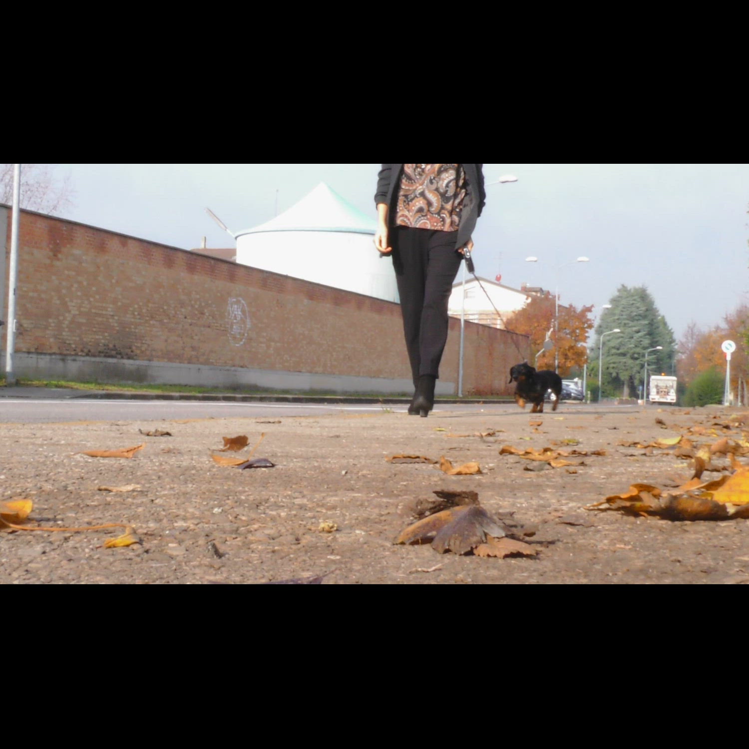 Agency video thumbnail