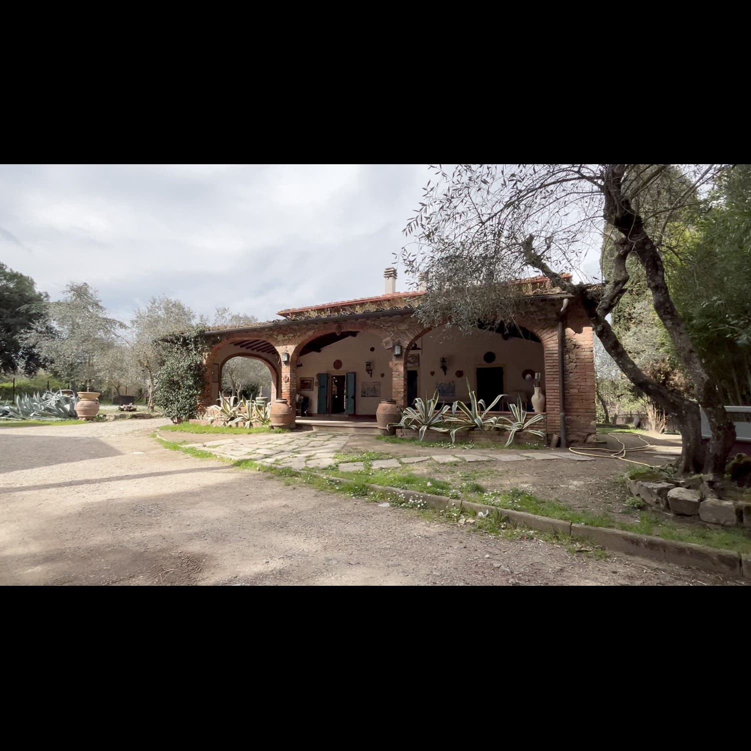 Agency video thumbnail