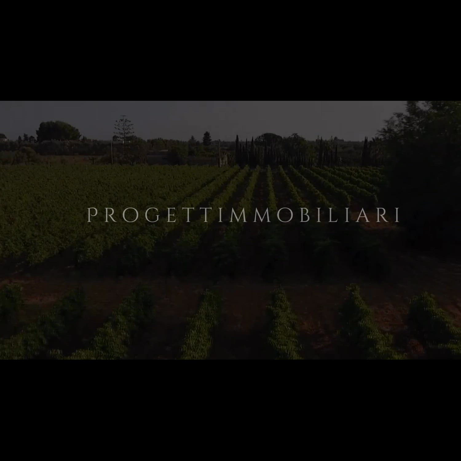 Agency video thumbnail