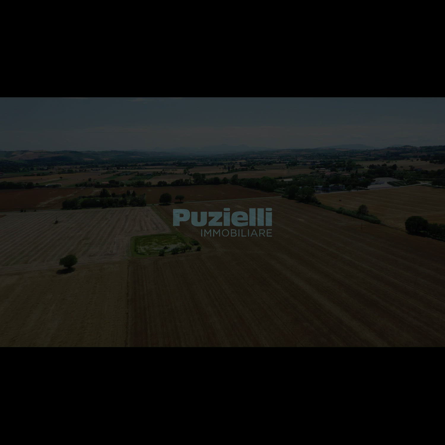 Agency video thumbnail